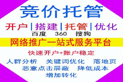 百度竞价推广运营策略：成功案例解析